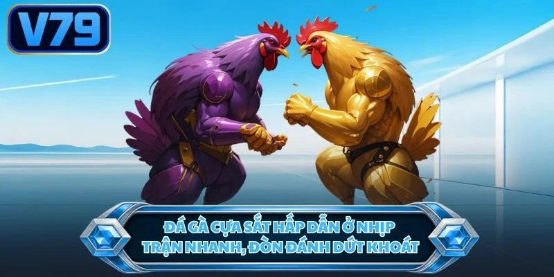 da-ga-cua-sat-hap-dan-o-nhip-tran-nhanh-don-danh-dut-khoat Đá gà cựa sắt hấp dẫn ở nhịp trận nhanh, đòn đánh dứt khoát