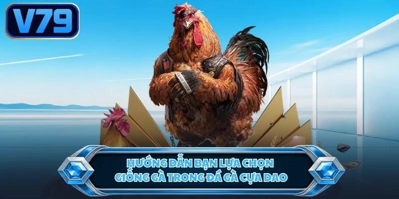 huong-dan-ban-lua-chon-giong-ga-trong-da-ga-cua-dao Hướng dẫn bạn lựa chọn giống gà trong đá gà cựa dao