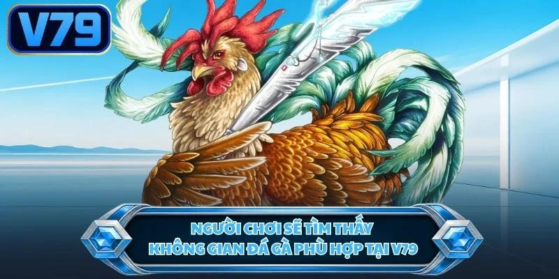 nguoi-choi-se-tim-thay-khong-gian-da-ga-phu-hop-tai-v79 Người chơi sẽ tìm thấy không gian đá gà phù hợp tại V79